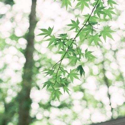 bob半岛在线登录