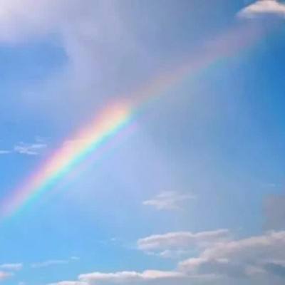 半岛官网入口网页版手机app下载